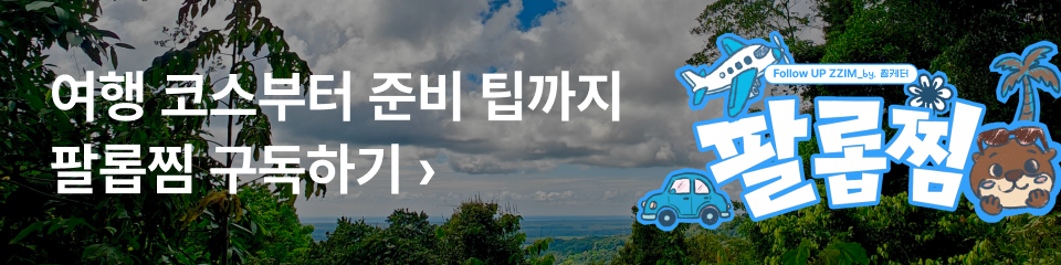 뉴스레터 팔롭찜 구독_mo